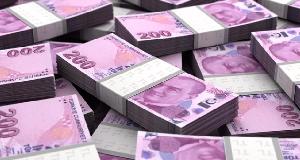 Турция хочет использовать во внешней торговле нац валюту