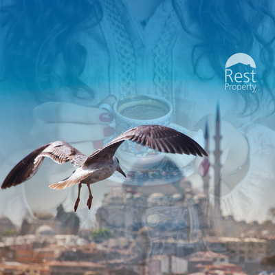 Бессрочный вид на жительство в Турции