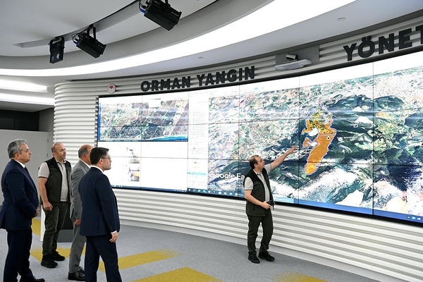 Борьба с лесными пожарами в Турции: 45 из 55 очагов под контролем