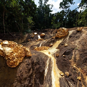 В Суринаме обнаружены крупные запасы золота с высокой концентрацией