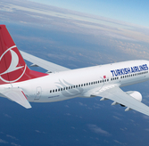 Задержка багажа Turkish Airlines: 274 места не долетели во Внуково