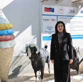 Женщина-предпринимательница создала бренд мороженого при поддержке правительства