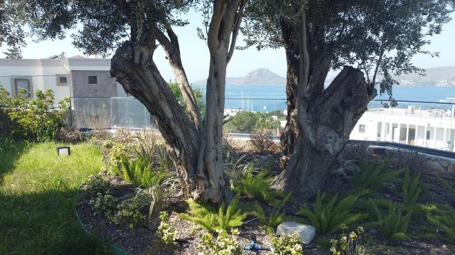 Вилла 4+1 с видом на море в Бодрум