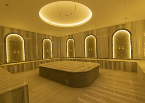 1+1 в комплексе бизнес класса в районе Демирташ 