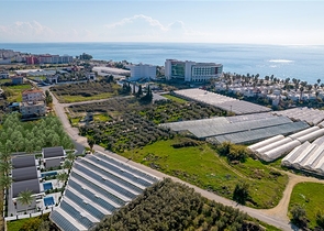 Новый проект вилл под гражданство