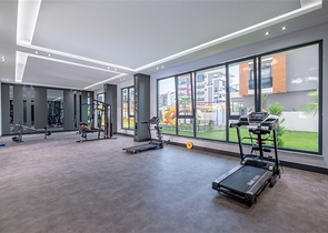 Пентхаус планировкой 4+1 в районе Кестель 