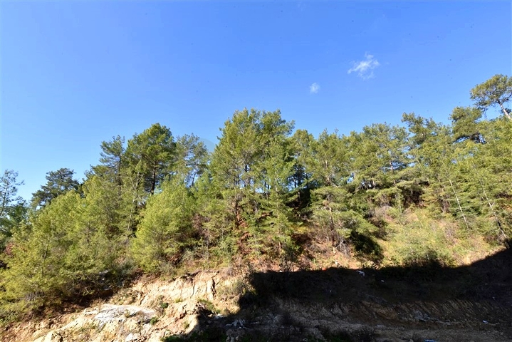 Квартира 1+1 в районе Авсаллар