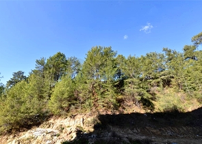 Квартира 1+1 в районе Авсаллар