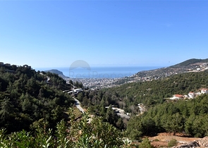 Вилла планировкой 3+1 в центре Алании