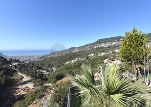 Вилла планировкой 3+1 в центре Алании