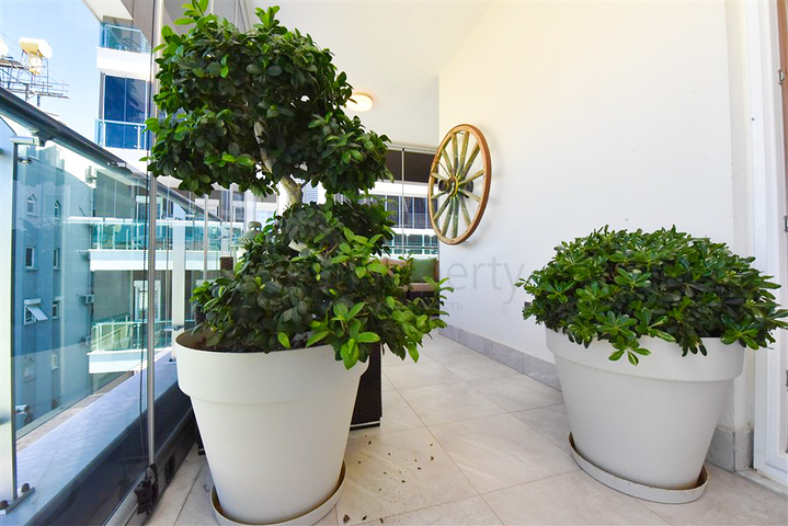 Квартира планировкой 1+1 на Клеопатре