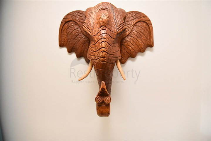 Квартира планировкой 1+1 на Клеопатре