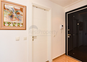 Квартира планировкой 1+1 на Клеопатре