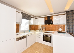 Квартира планировкой 1+1 на Клеопатре