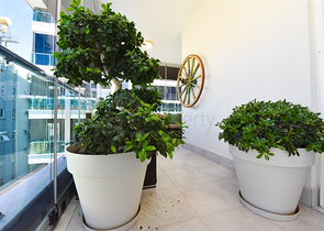 Квартира планировкой 1+1 на Клеопатре