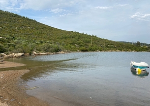 Уникальная  резиденция от собственника с видом на море в окружении леса