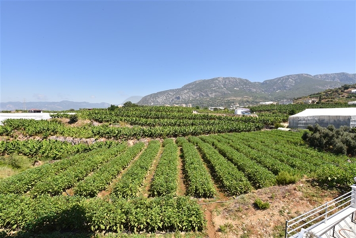 Меблированная квартира 1+1 с видом на море и на горы в районе Махмутлар