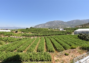 Меблированная квартира 1+1 с видом на море и на горы в районе Махмутлар