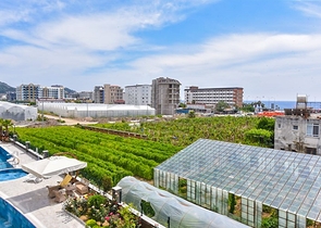 Шикарная квартира планировкой 1+1 в районе Каргыджак