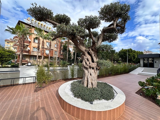 1+1 в комплексе от качественного застройщика