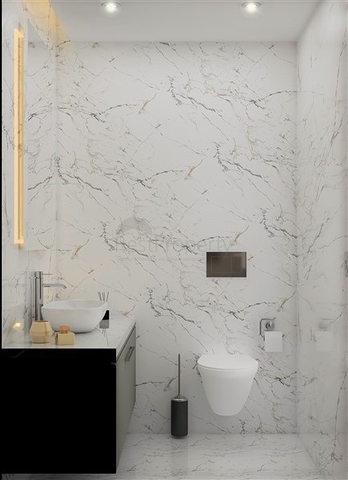 Инвестиционный проект в районе Есентепе