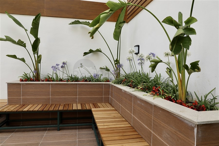 Эксклюзивная квартира в аренду в районе Клеопатра