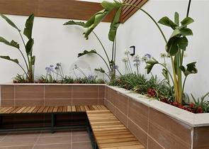 Эксклюзивная квартира в аренду в районе Клеопатра