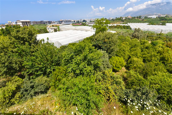 Вилла 4+1 с современным дизайном в живописном районе Каргыджак