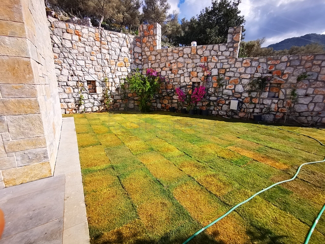 Виллы в живописном районе Туркбюкю, в окружение густой зелени. 