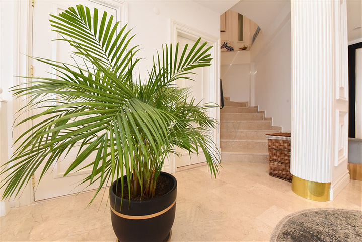 Вилла с дизайнерским ремонтом 5+1