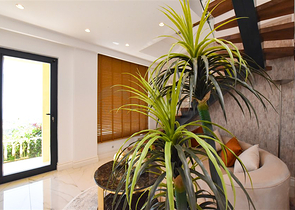 Вилла с дизайнерским ремонтом 5+1