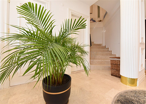 Вилла с дизайнерским ремонтом 5+1