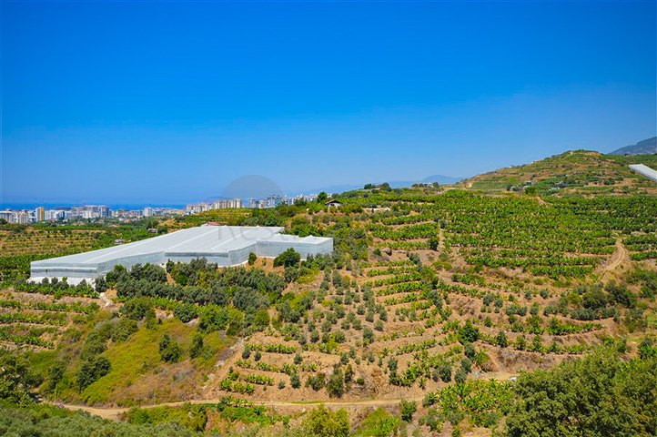 Вилла в сите 4+1 с небольшим садом и видом на море и горы в живописном районе Каргыджак