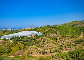 Вилла в сите 4+1 с небольшим садом и видом на море и горы в живописном районе Каргыджак