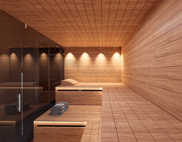 Инвестиционный проект в районе Демирташ