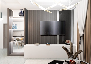 Инвестиционный проект в районе Демирташ