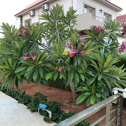 Вилла на побережье Long Beach