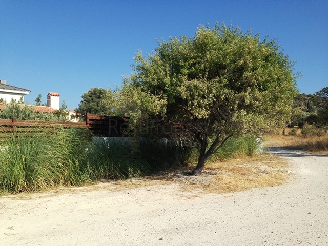 Вилла с большим участком с зеленым садом в Алачаты