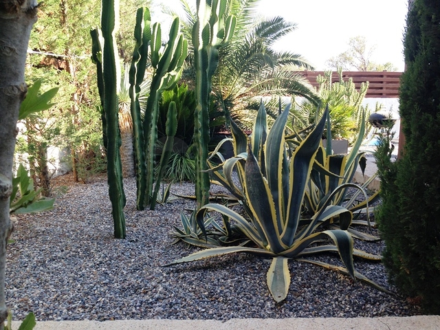 Вилла с большим участком с зеленым садом в Алачаты