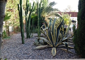 Вилла с большим участком с зеленым садом в Алачаты