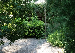 Вилла с большим участком с зеленым садом в Алачаты