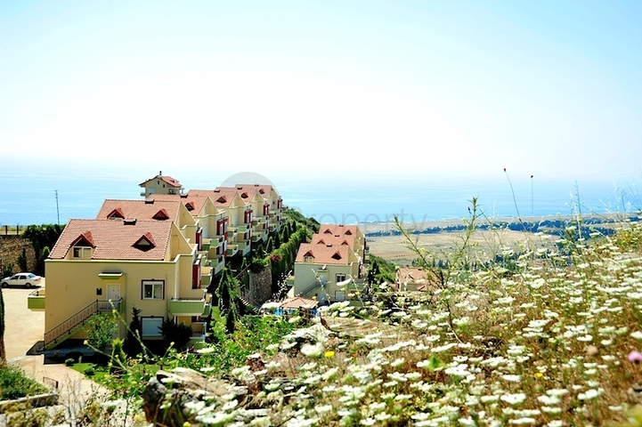 Изумительные апартаменты и виллы в Газипаше