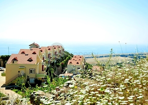 Изумительные апартаменты и виллы в Газипаше