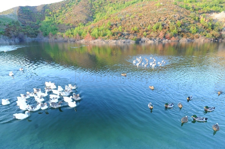 Эксклюзивная квартира 2+1 от собственника в комплексе Голд Сиди