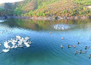 Эксклюзивная квартира 2+1 от собственника в комплексе Голд Сиди