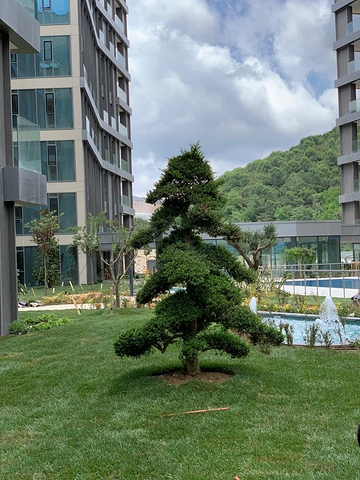 2 в 1 выгодный инвестиционный проект и комфортное жильё в Стамбуле