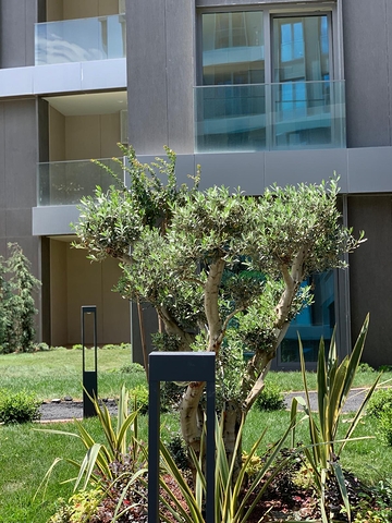 2 в 1 выгодный инвестиционный проект и комфортное жильё в Стамбуле