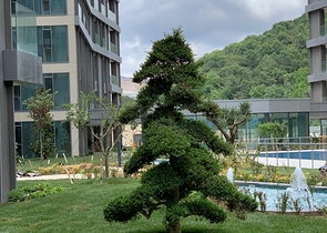 2 в 1 выгодный инвестиционный проект и комфортное жильё в Стамбуле