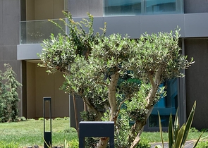 2 в 1 выгодный инвестиционный проект и комфортное жильё в Стамбуле