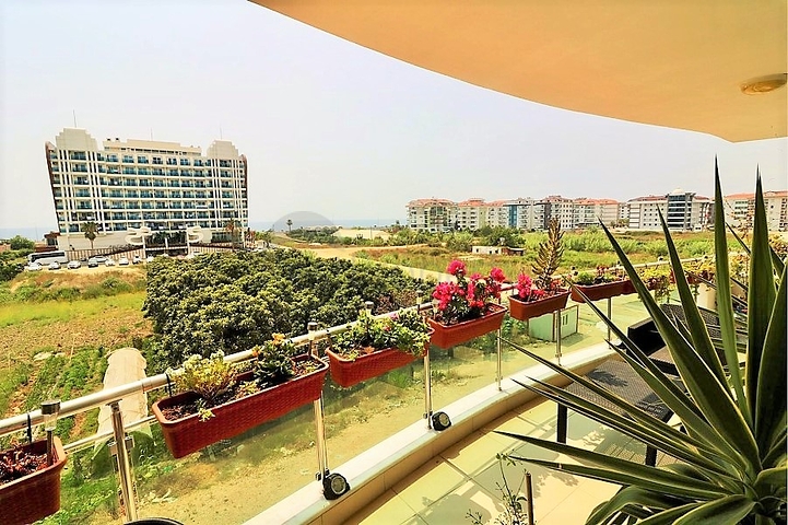 Трехкомнатная квартира в окружении апельсиновых рощ